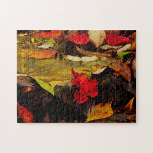 Puzzle États-Unis, Pennsylvanie, Montagnes de Pocono 1