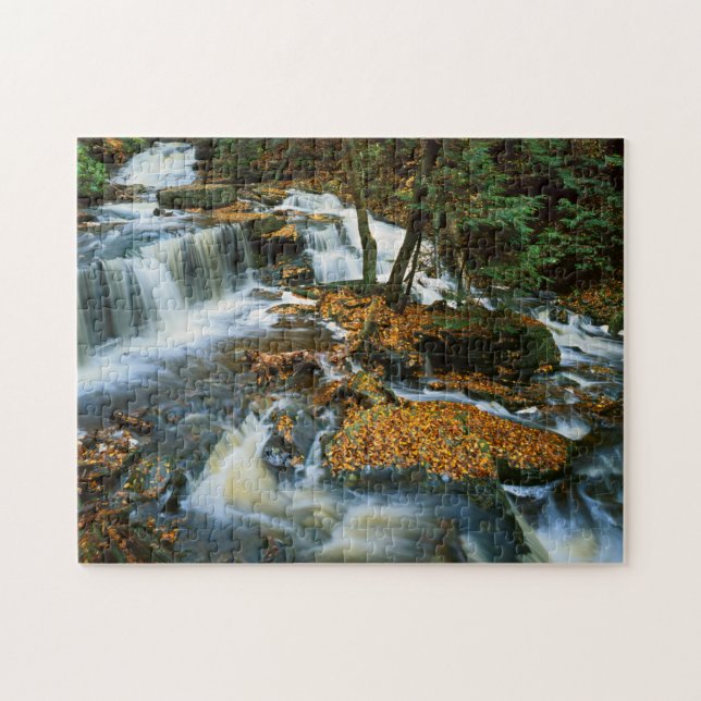 Puzzle États-Unis, Pennsylvanie, Parc d'État de Ricketts  (Horizontal)
