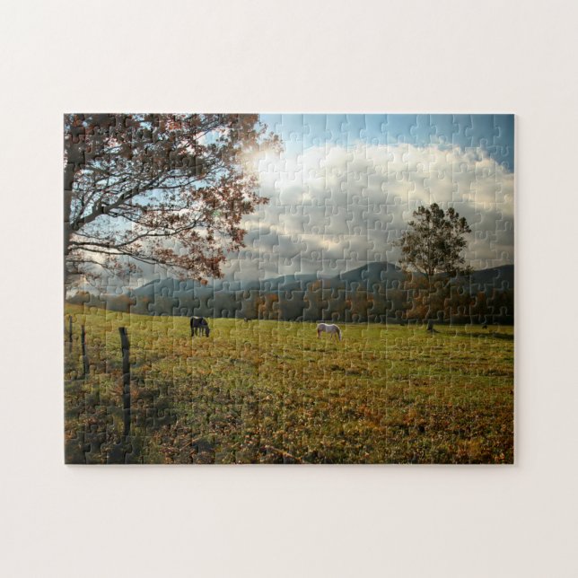 Puzzle États-Unis, Tennessee. Chevaux dans la vallée de C (Horizontal)