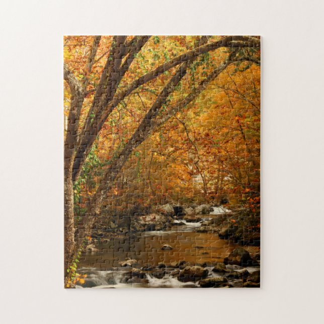 Puzzle États-Unis, Tennessee. Rushing Mountain Creek 3 (Vertical)