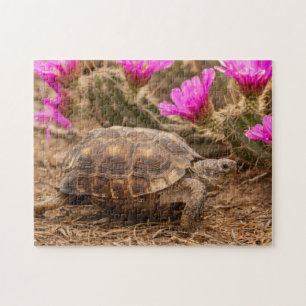 Puzzle États-Unis, Texas, comté de Hidalgo. Tortue terres