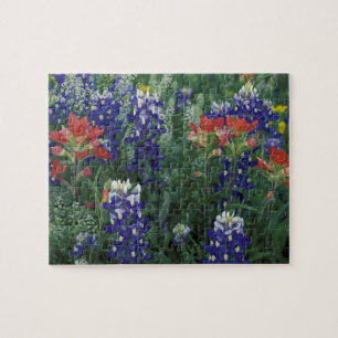 Puzzle États-Unis, Texas Hill Country. Bleuets et