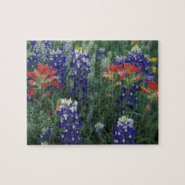 Puzzle États-Unis, Texas Hill Country. Bleuets et (Horizontal)