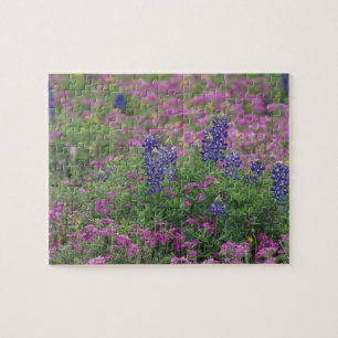 Puzzle États-Unis, Texas Hill Country. Bleuets parmi les