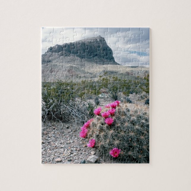 Puzzle États-Unis, Texas, Parc national de Big Bend. Flor (Vertical)