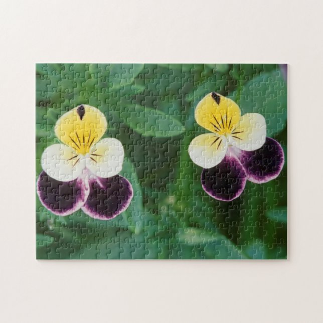 Puzzle États-Unis, Utah, Cache Valley, Johnny Jump Up (Horizontal)