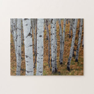 Puzzle États-Unis, Utah, Forêt nationale d'Uinta-Wasatch-