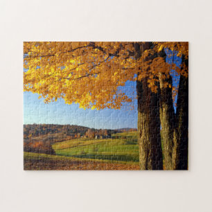 Puzzle États-Unis, Vermont. Paysage agricole près de Sout
