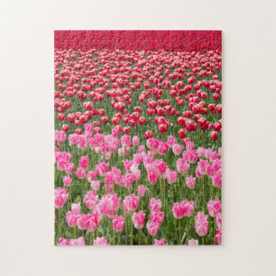 Puzzle États-Unis, Washington. Champ de tulipes multicolo
