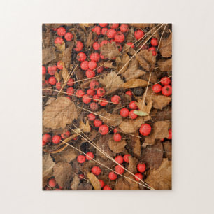 Puzzle États-Unis, Washington, comté de Spokane, Feuilles