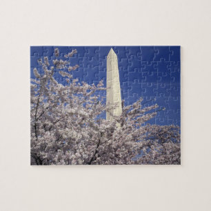 Puzzle États-Unis, Washington DC. Festival des fleurs de
