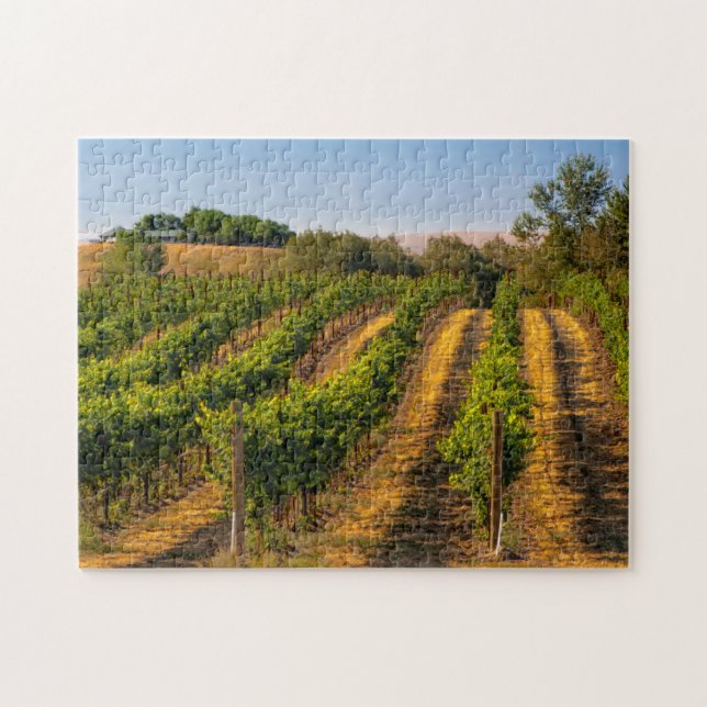 Puzzle États-Unis, Washington oriental, vignobles Walla W (Horizontal)