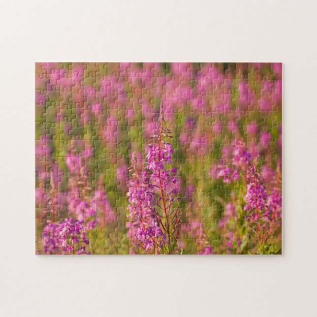 Puzzle États-Unis, Washington, Seattle, Discovery Park 3 (Horizontal)