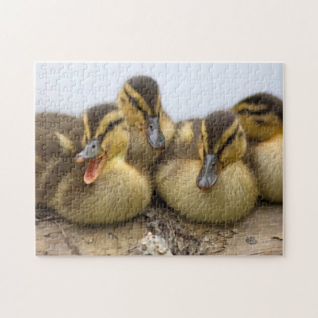 Puzzle États-Unis, Washington, Seattle, Lac Washington (Horizontal)