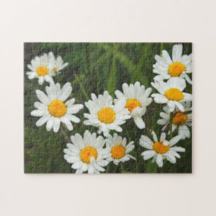 Puzzle États-Unis, Washington, Seattle, Puget Sound 3