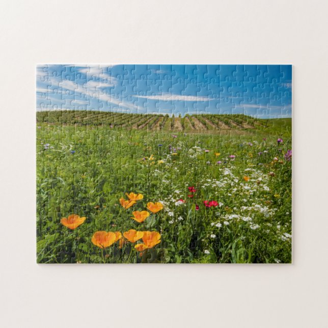 Puzzle États-Unis, Washington, Walla Walla. Fleurs sauvag (Horizontal)