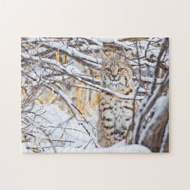 Puzzle États-Unis, Wyoming, Bobcat (Horizontal)