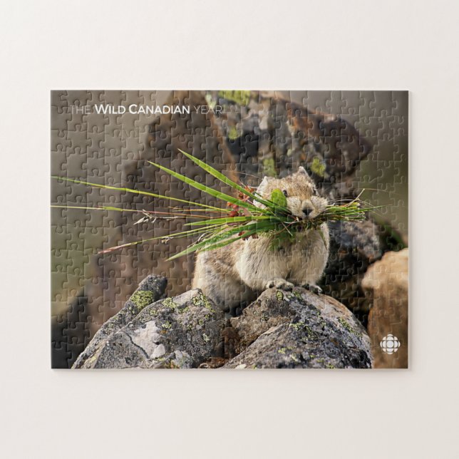 Puzzle Été - American Pica (Horizontal)