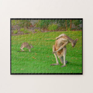 Puzzle étirement de kangourou