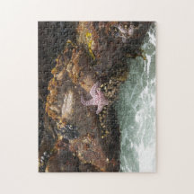 Étoiles de mer Tidepool