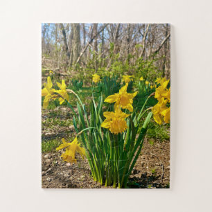 Puzzle Étreinte dorée   Floraison de jonquilles au printe