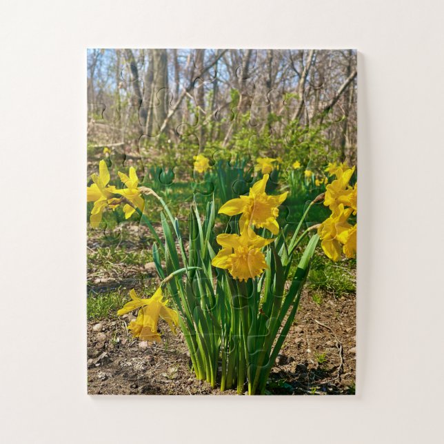 Puzzle Étreinte dorée | Floraison de jonquilles au printe (Vertical)