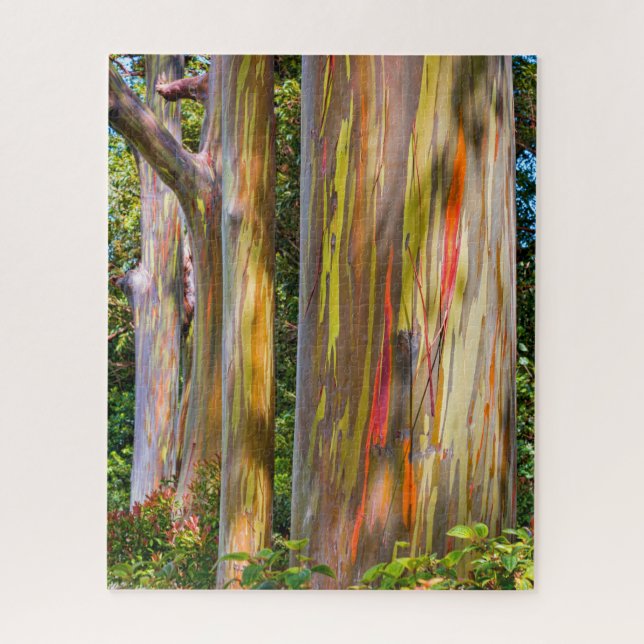 Puzzle Eucalyptus de Maui (Vertical)