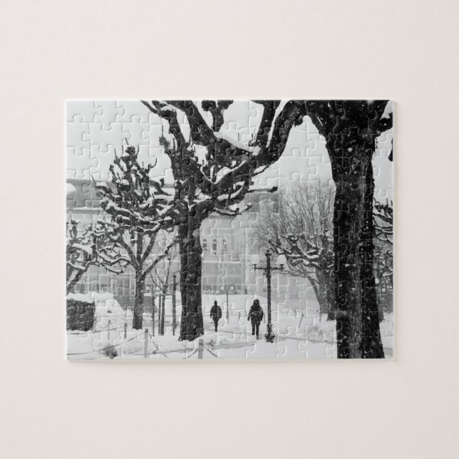 Puzzle Europe, Autriche, Salzbourg. Hiver, (Horizontal)