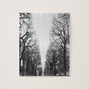 Puzzle Europe, France, Paris. Les arbres d'hiver, Marco P