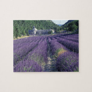 Puzzle Europe, France, Provence. Champs de lavande