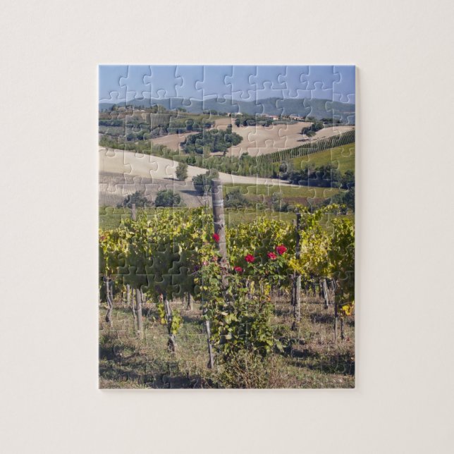 Puzzle Europe, Italie, Ombrie, près de Montefalco, Vignob (Vertical)