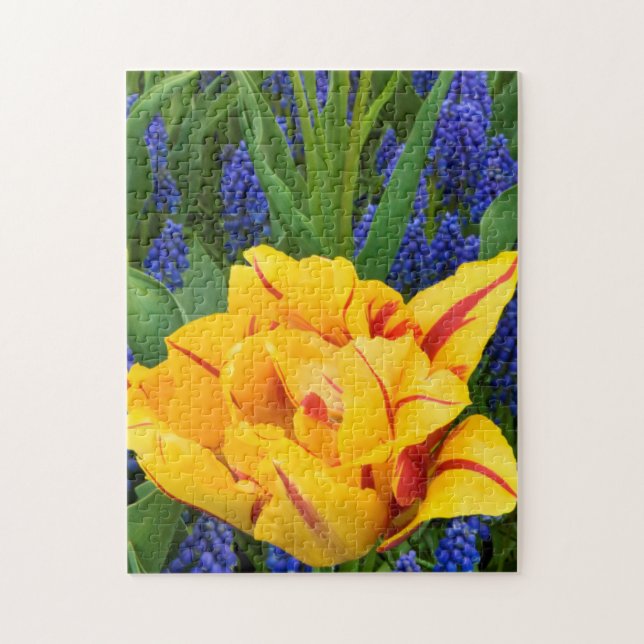 Puzzle Europe, Pays-Bas, Lisse. Tulipes (Vertical)