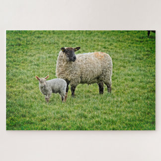 Puzzle Ewe et agneau