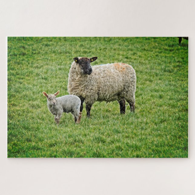 Puzzle Ewe et agneau (Horizontal)