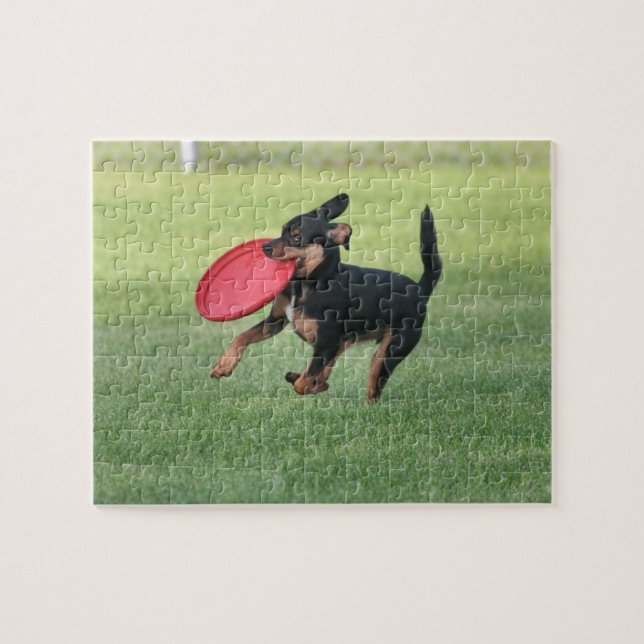 Puzzle Exécuter (Horizontal)