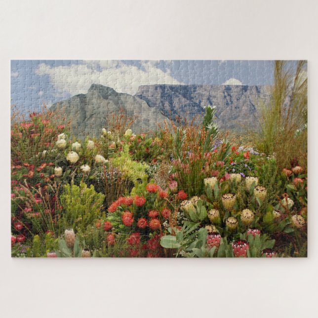 Puzzle Exposition florale sud-africaine de fleurs sauvage (Horizontal)