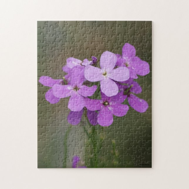 Puzzle F19 Fleurs sauvages violettes Fusée des dames (Vertical)