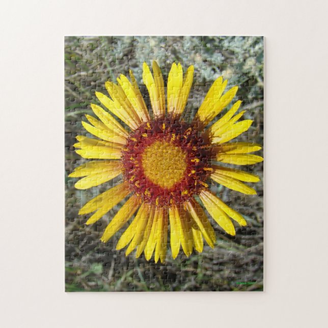 Puzzle F1 Gaillardia fleur sauvage jaune (Vertical)