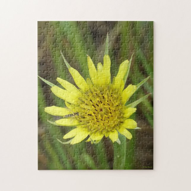 Puzzle F41 Jaune Barbebouc Fleur Sauvage (Vertical)