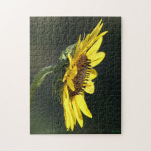Puzzle F43 Fleur sauvage jaune Susan aux yeux noirs