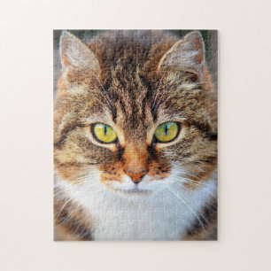 Puzzle Face de chat mignonne