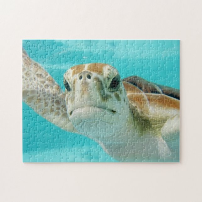 Puzzle Face de tortue de mer douce dans l'eau claire (Horizontal)