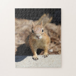Puzzle Face d'écureuil