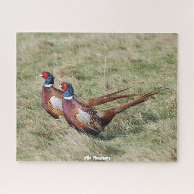 Puzzle Faisans sauvages (Horizontal)