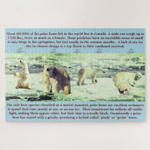 Puzzle Faits amusants sur les ours polaires 20"x30" - 1 0