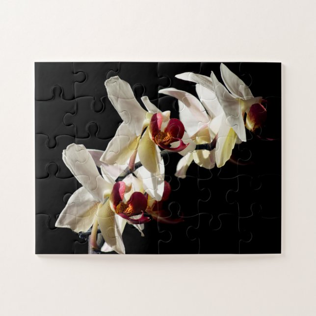 Puzzle Faits saillants de la flore des orchidées de Phala (Horizontal)