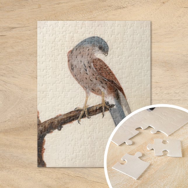 Puzzle Falcon Hen Kestrel | William Lewin (Créateur téléchargé)