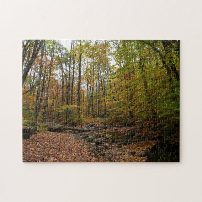 Puzzle Fall Creek à Laurel Hill State Park Pennsylvania (Horizontal)