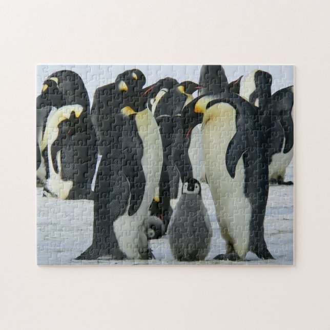 Puzzle Famille adorable de Penguin Faune arctique (Horizontal)