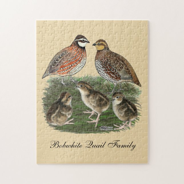Puzzle Famille Bobwhite Quail (Vertical)